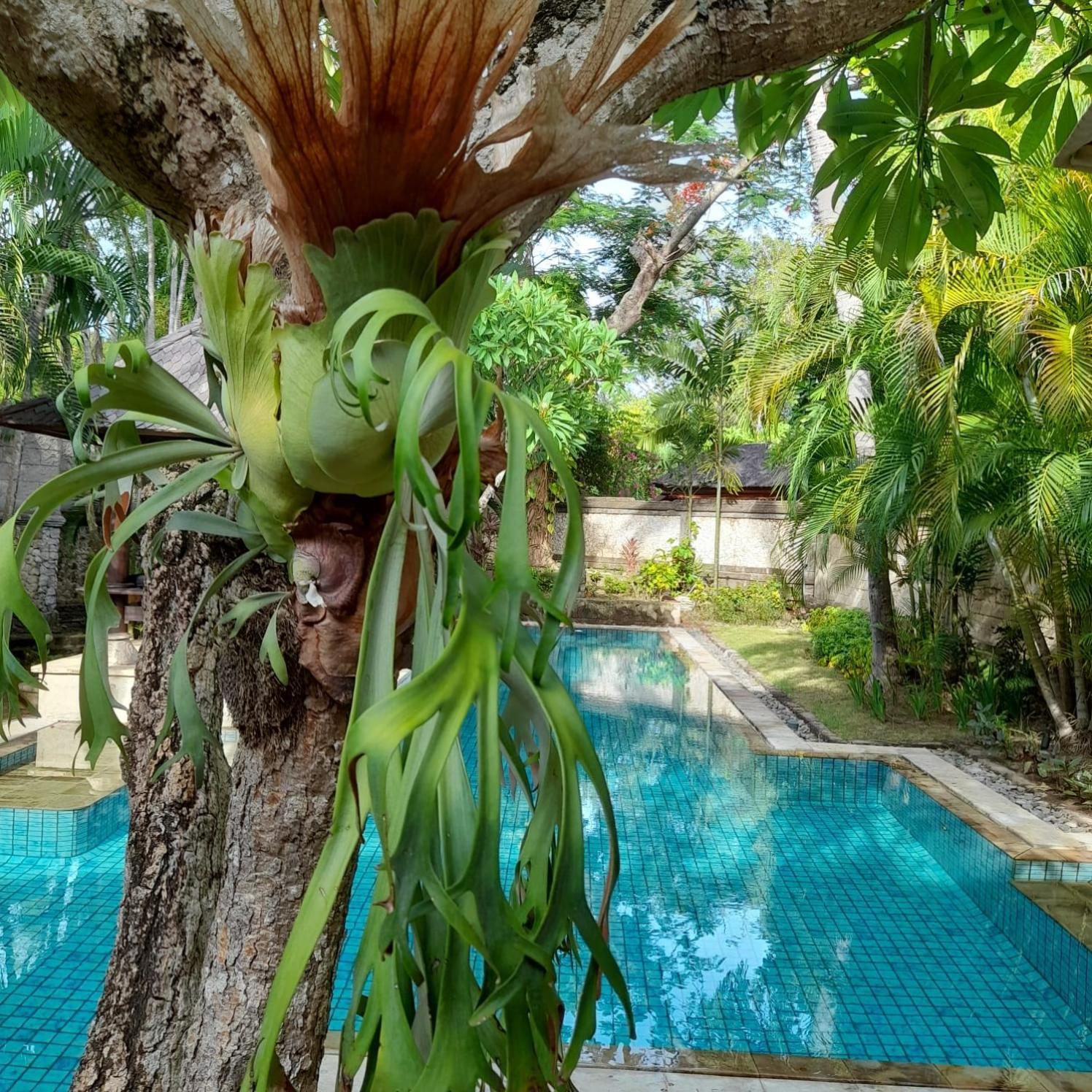 The Royal Beach Seminyak Eksteriør bilde